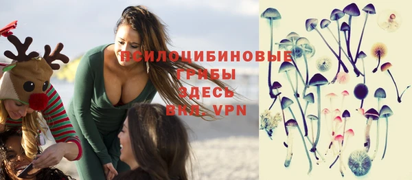 винт Аркадак